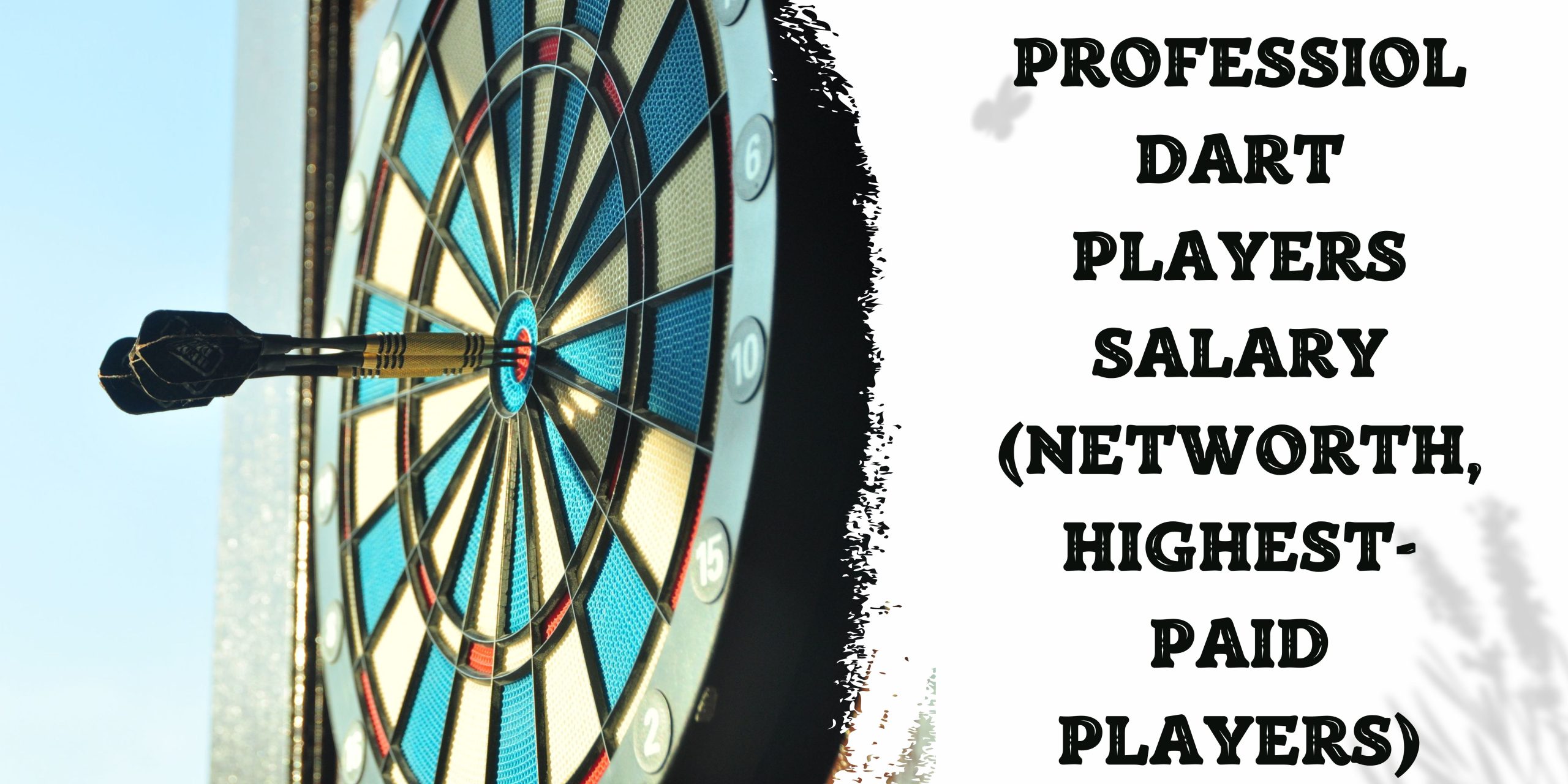 Professional dart players salary